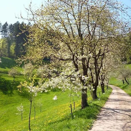 Eisenmannhof Gengenbach
