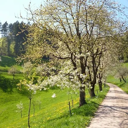 Eisenmannhof Lejlighed *