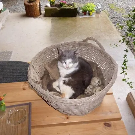 Appartamento Eisenmannhof *