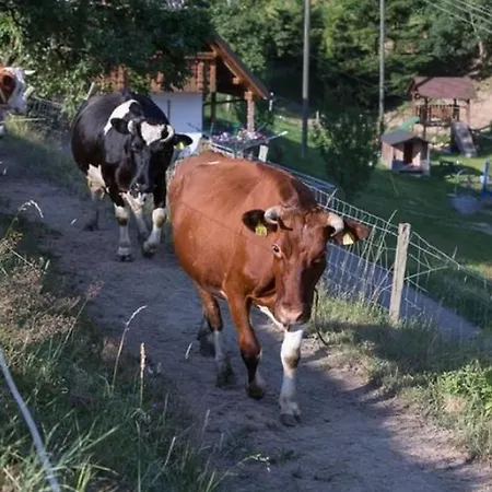 Eisenmannhof *