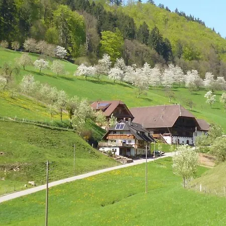 Eisenmannhof شقة