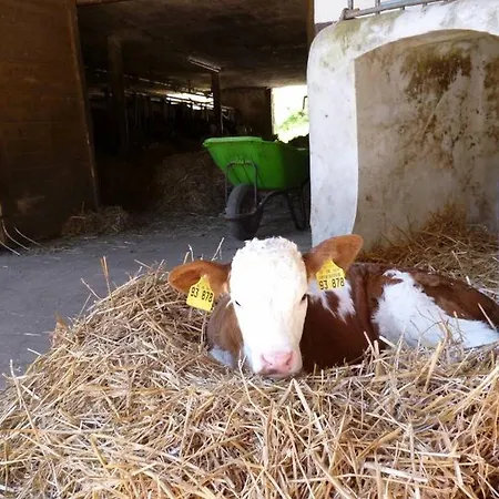 Appartamento Eisenmannhof *