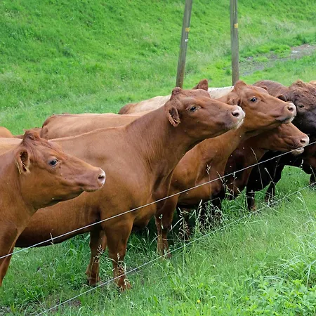 Eisenmannhof * Gengenbach