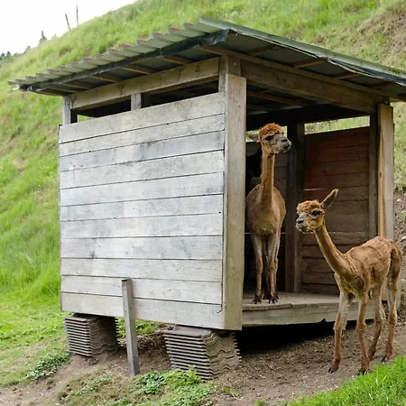 Appartamento Eisenmannhof