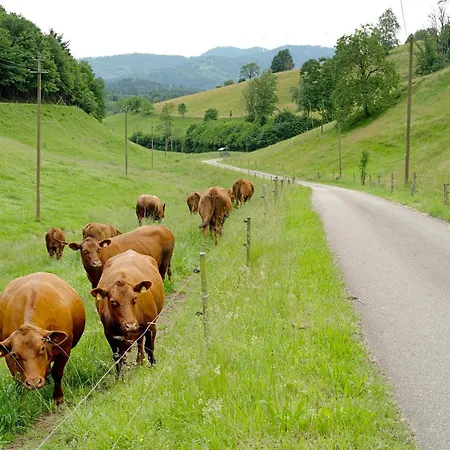 Eisenmannhof Appartamento Mittelbach