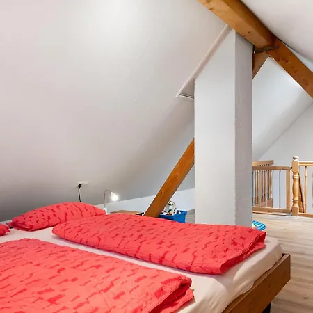 Eisenmannhof Appartamento Gengenbach