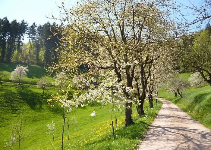 Eisenmannhof شقة *