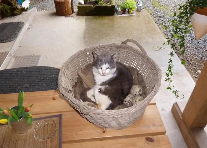 شقة Eisenmannhof *