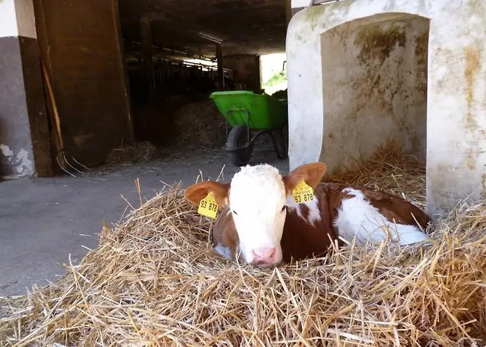 شقة Eisenmannhof *