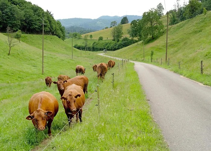 Eisenmannhof Lägenhet Gengenbach
