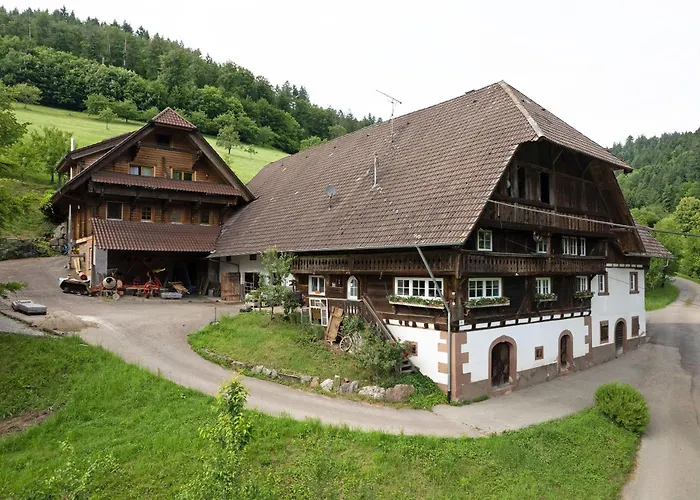 Eisenmannhof غينغنباخ